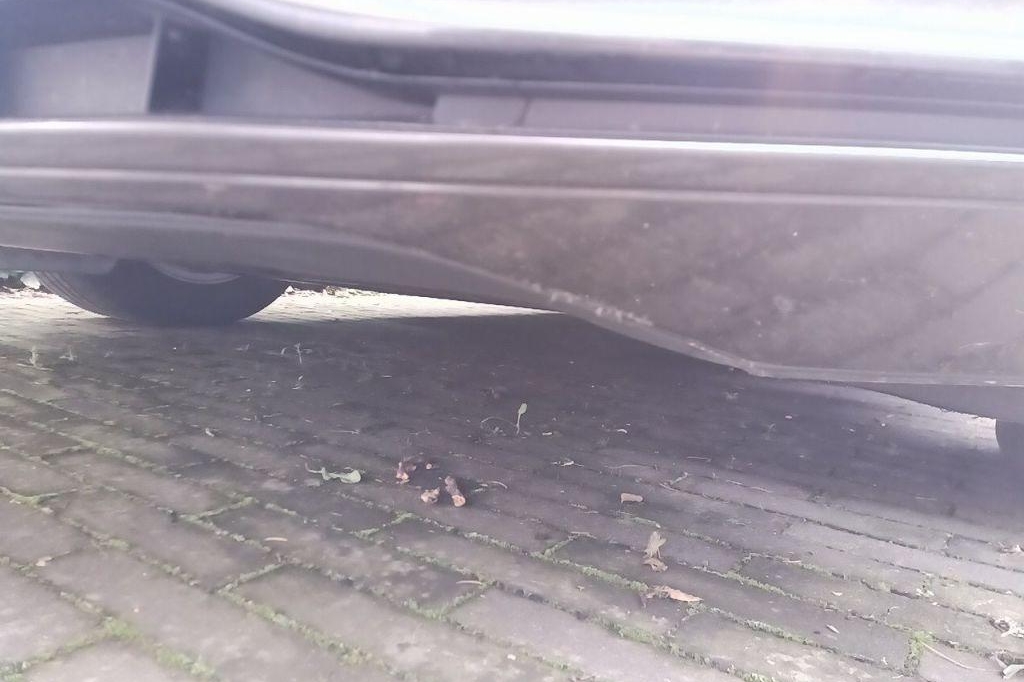 Volkswagen Passat Variant 2017 фото 13