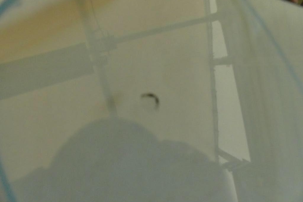 SEAT Leon 2017 photo 11