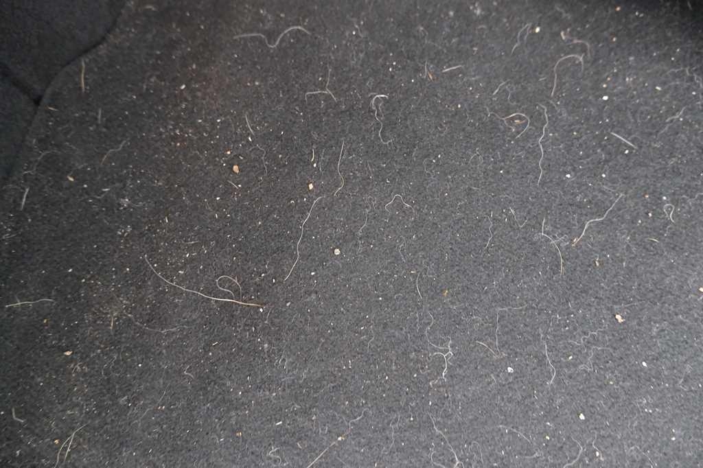 Ford Focus Tunier 2016 фото 8