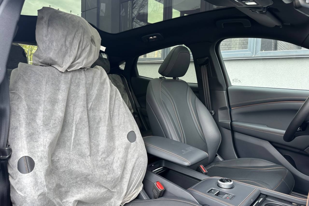 Ford Mustang Mach-E GT 2022 photo 15