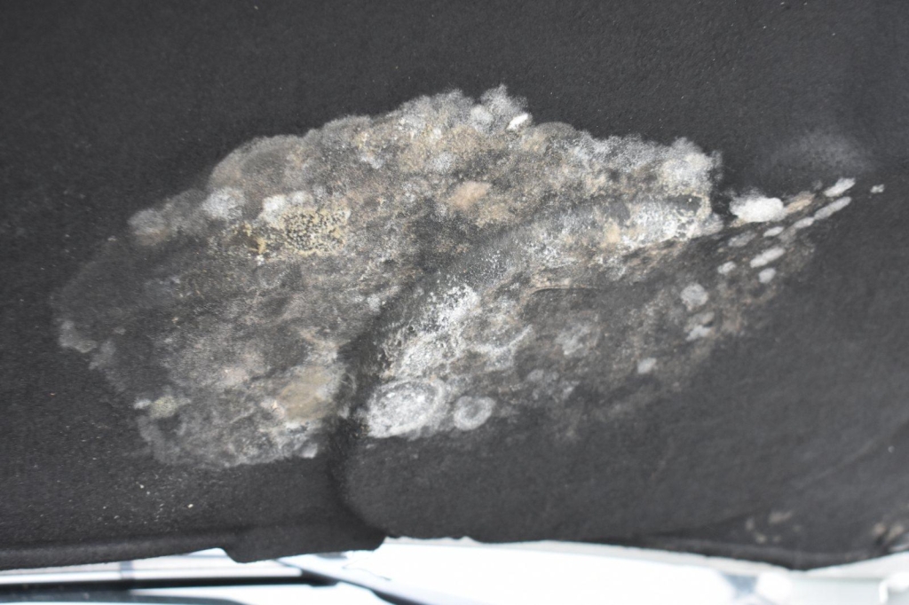 Iveco Daily Koffer 2016 фото 14