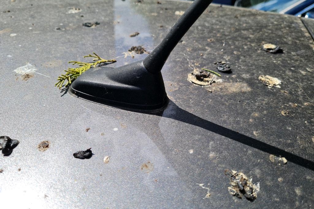 Peugeot 308SW 2016 фото 17