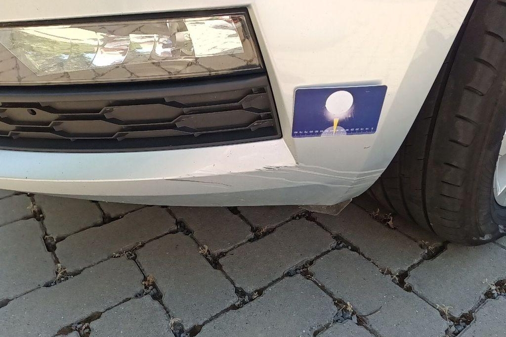 Skoda Octavia Combi 2019 фото 22