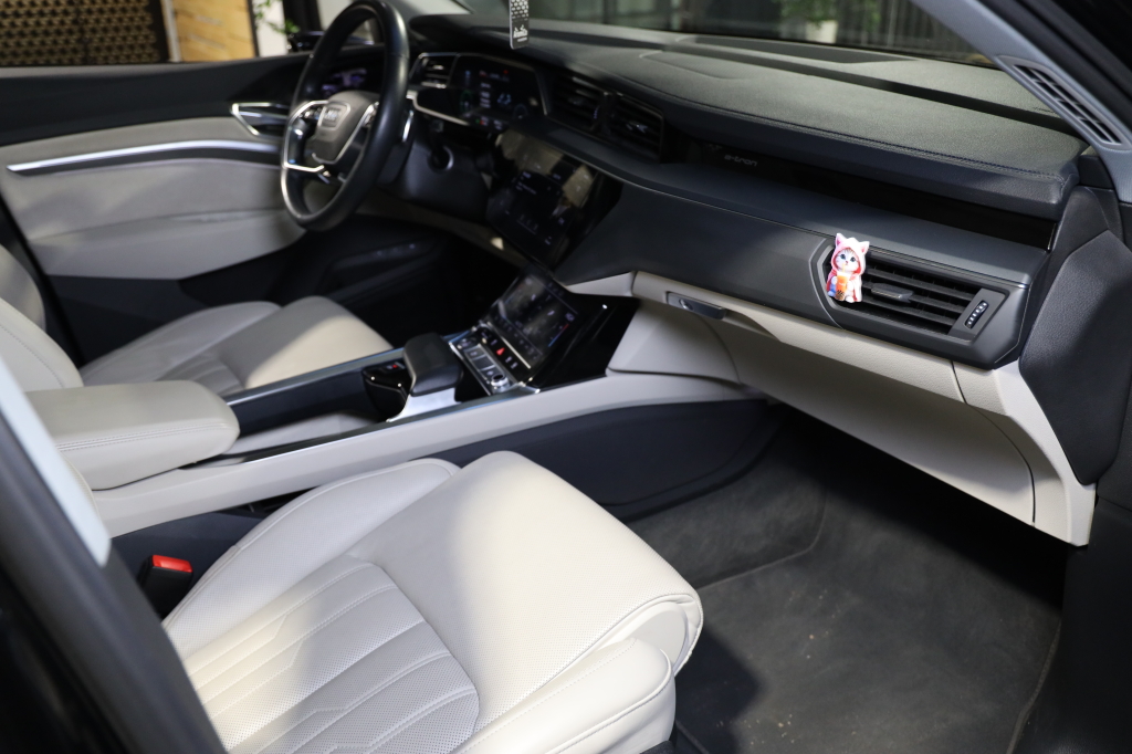 Audi e-tron 2019 фото 12