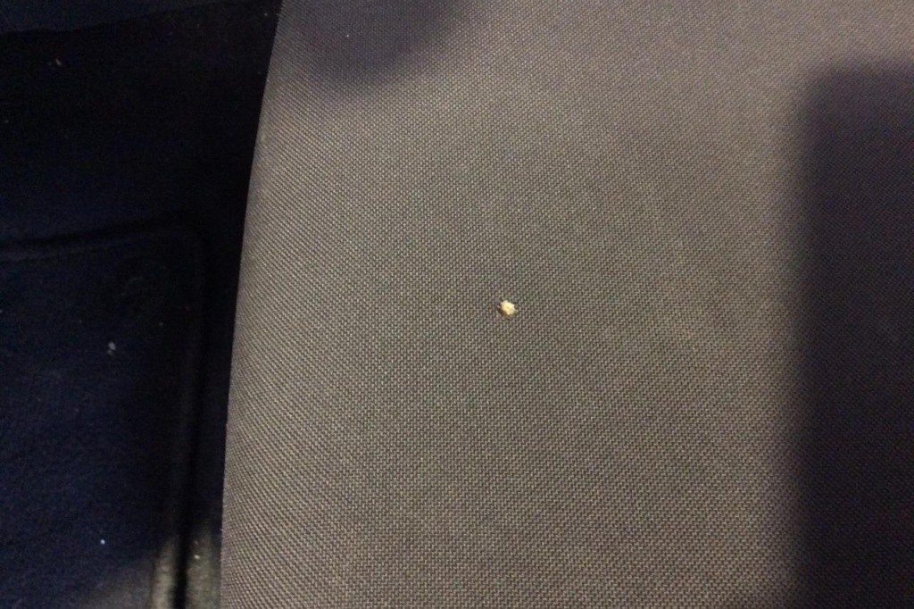 Ford Focus Tunier 2018 photo 10