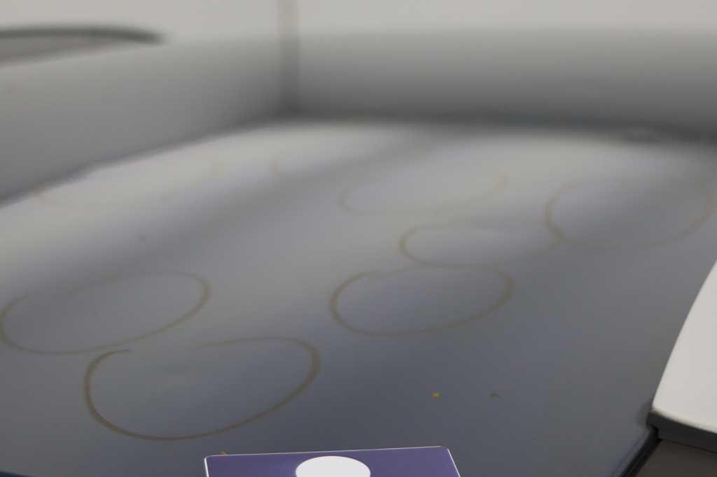 Kia Niro 2017 photo 8