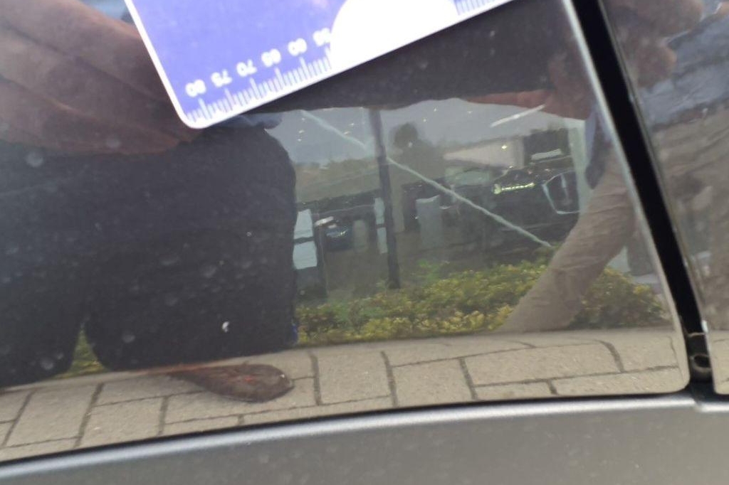 BMW X4 2016 фото 20