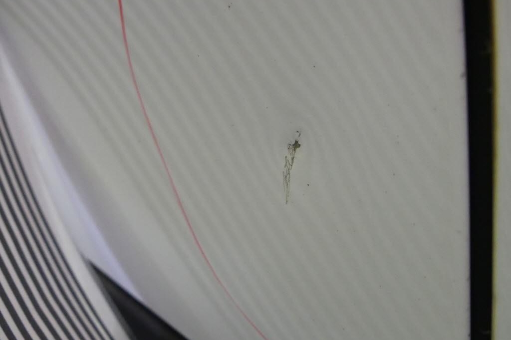 Ford Mondeo Turnier 2017 фото 18