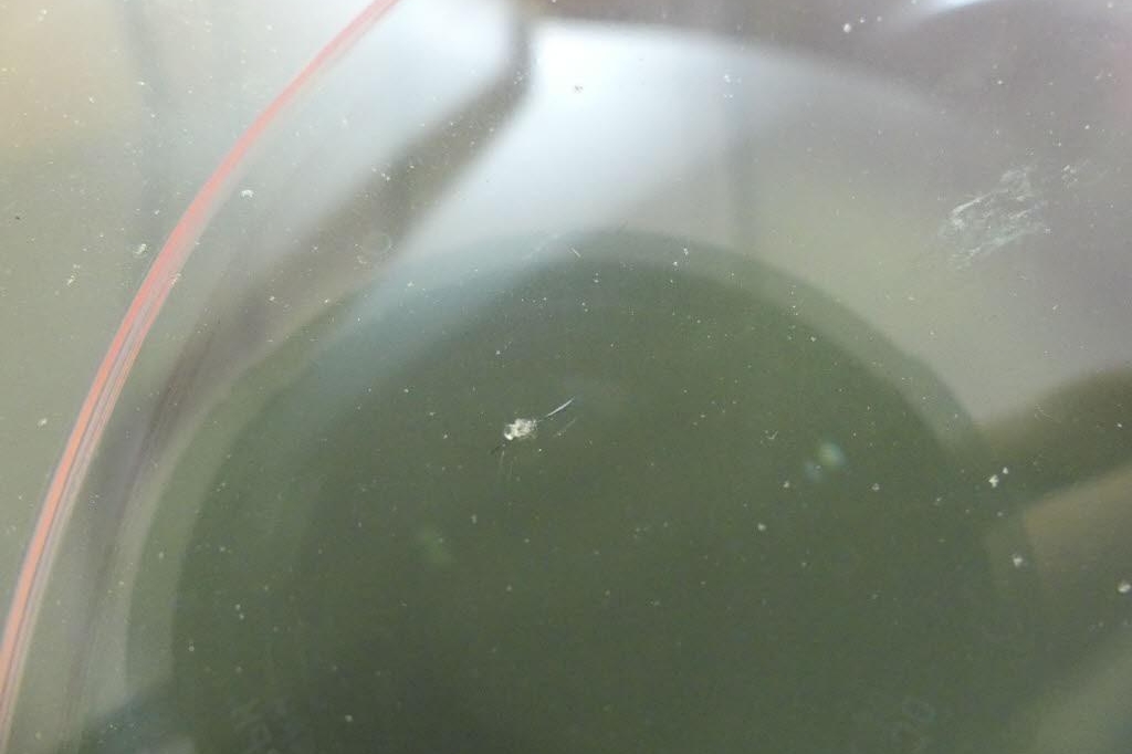 Ford Mondeo Turnier 2017 фото 11