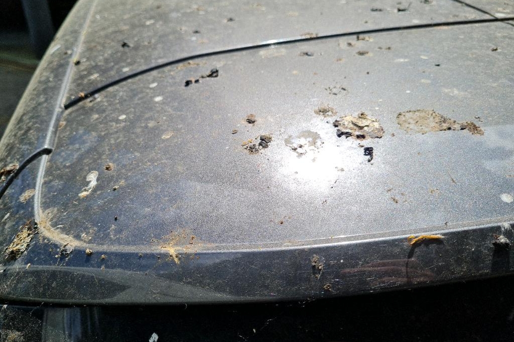 Peugeot 308SW 2016 фото 24