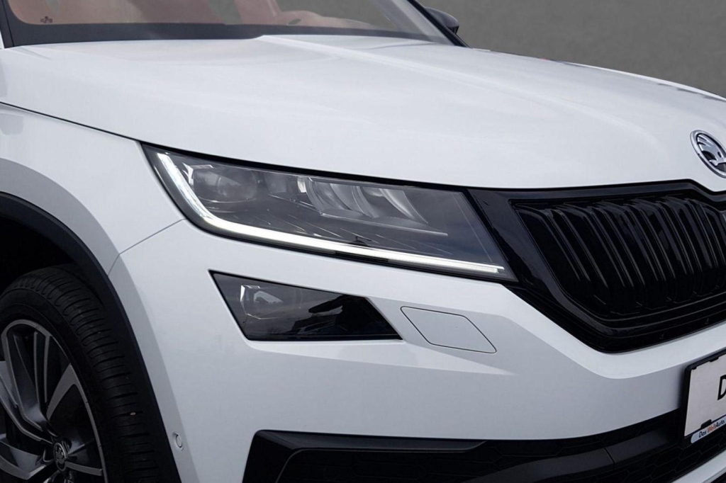 Skoda Kodiaq RS 2020 photo 6
