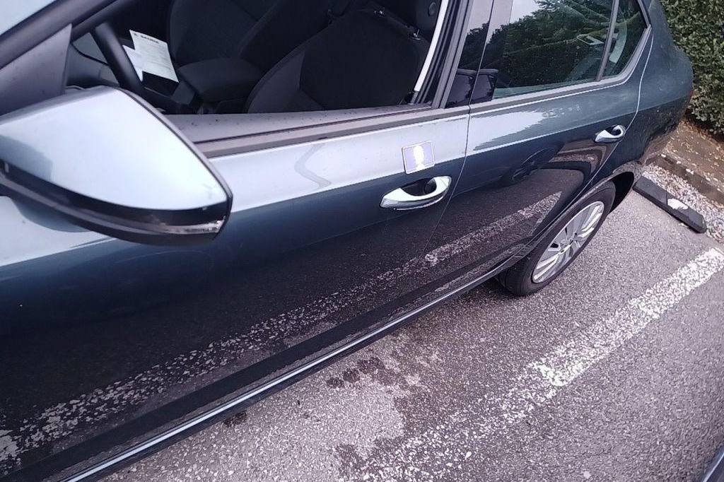 Skoda Octavia 2017 photo 14