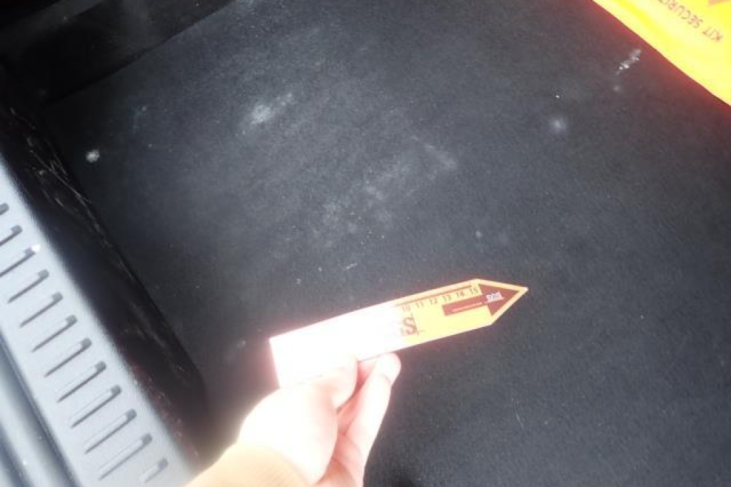 Ford Focus 2019 photo 7