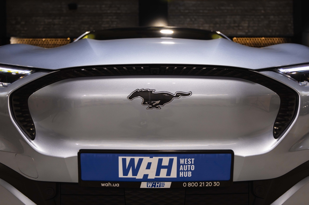 Ford Mustang Mach-E 2022 photo 6