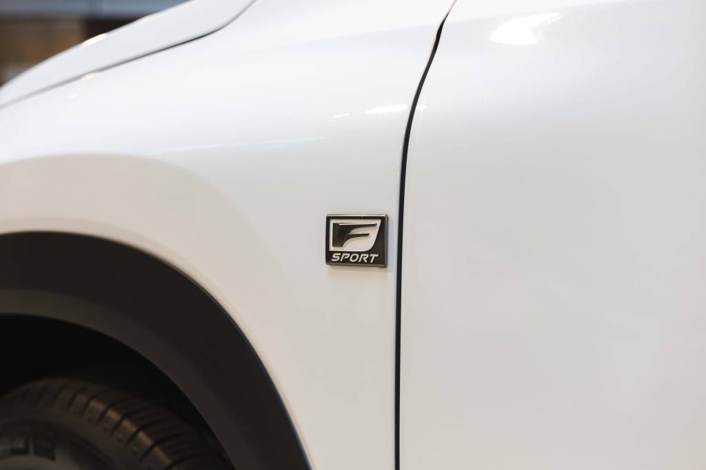 Lexus NX 300 F Sport 2018 photo 13