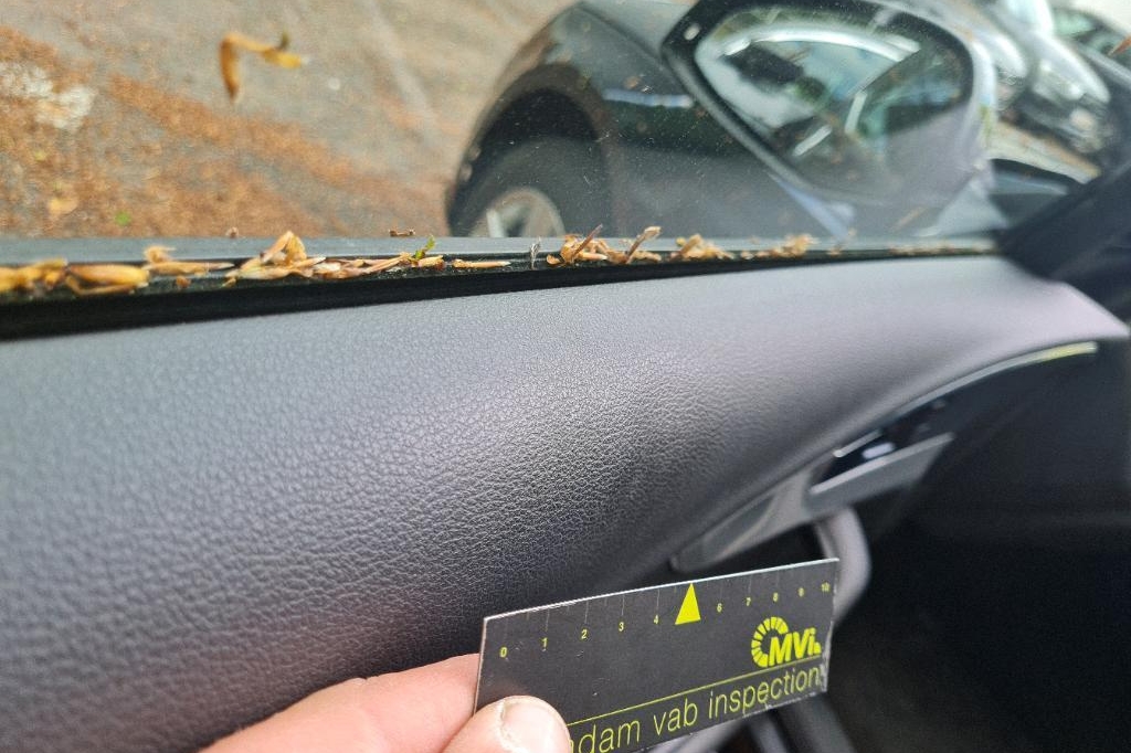 Audi A4 Avant 2017 фото 7