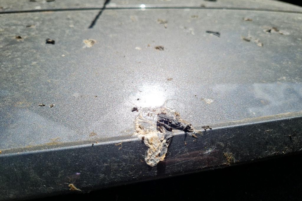 Peugeot 308SW 2016 фото 12