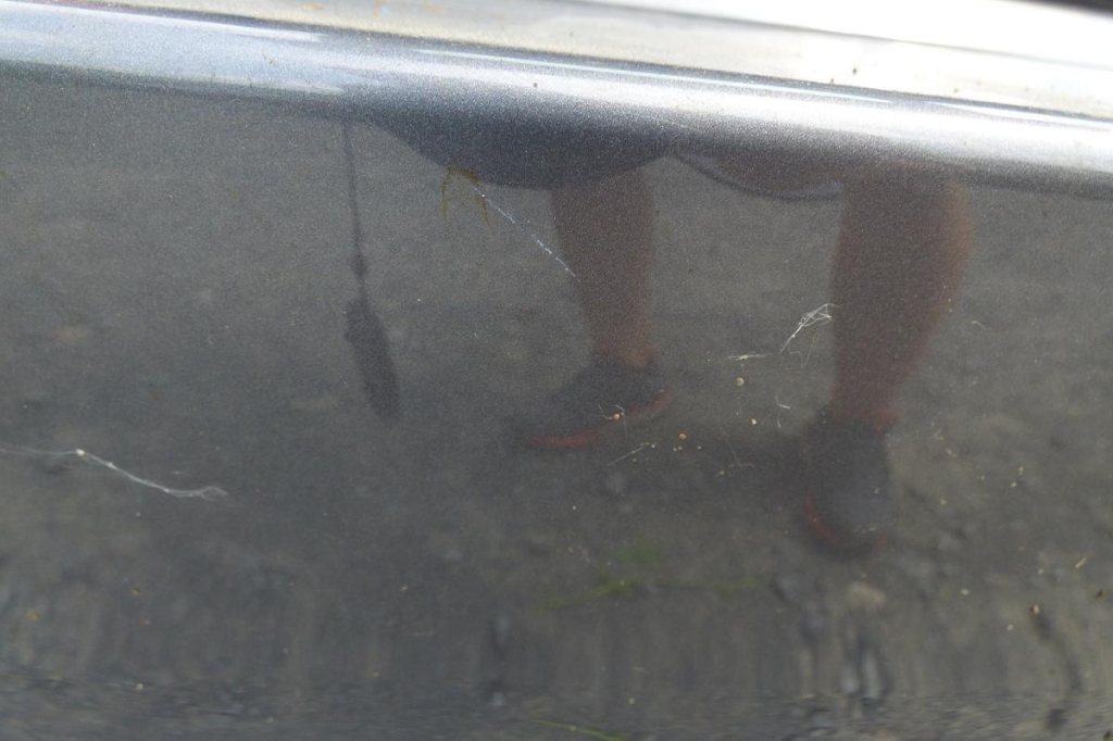 Opel Insignia Sports Tourer 2017 photo 23