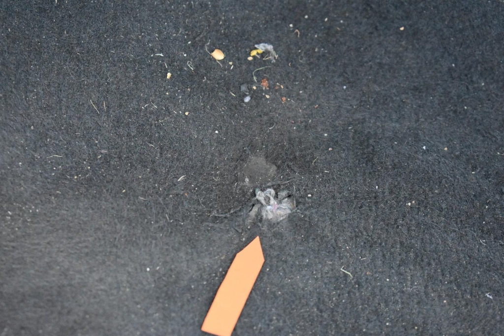 Hyundai i20 2020 photo 18