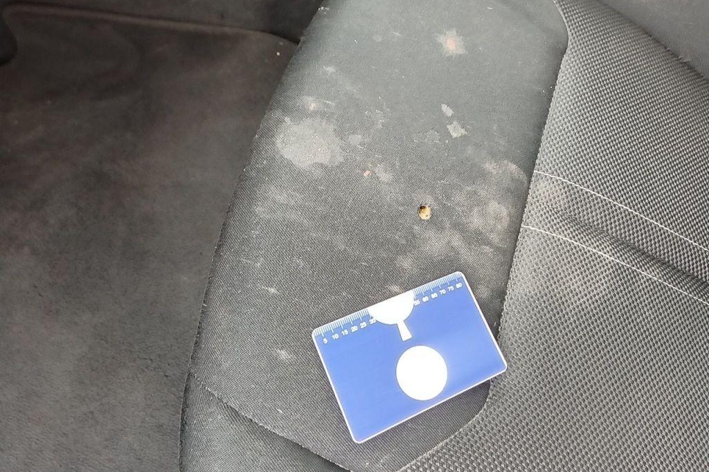 BMW 4er Gran Coupe 2018 photo 10