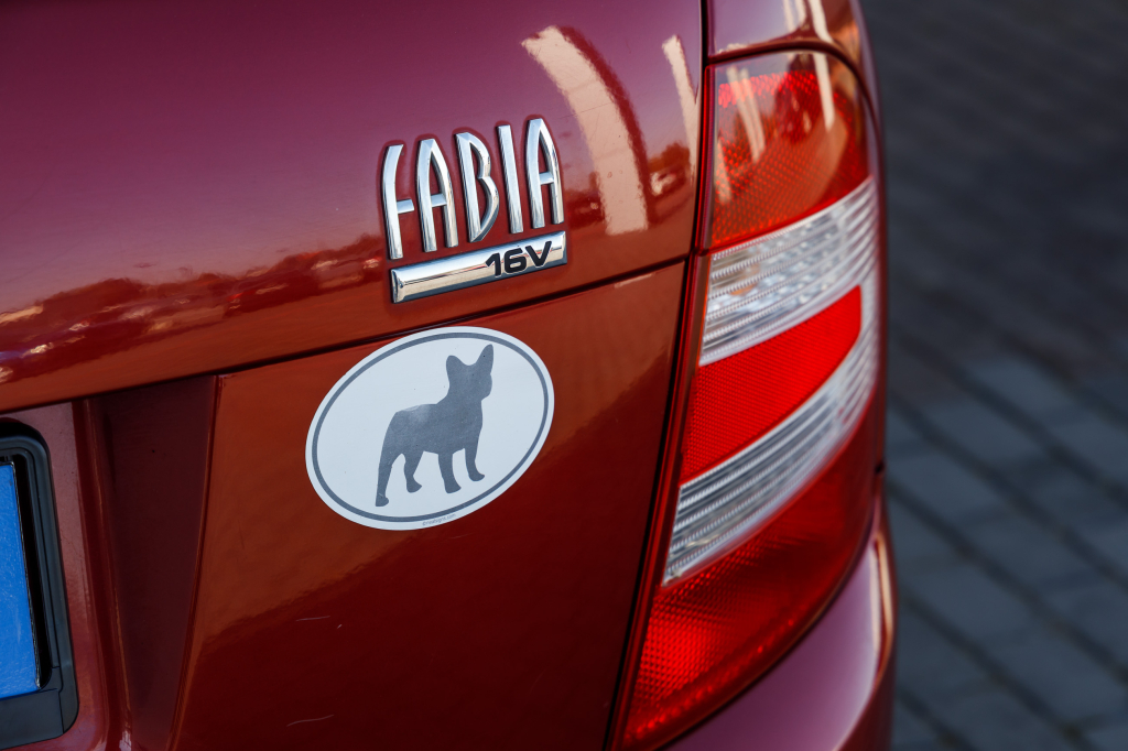 Skoda Fabia 2007 фото 22