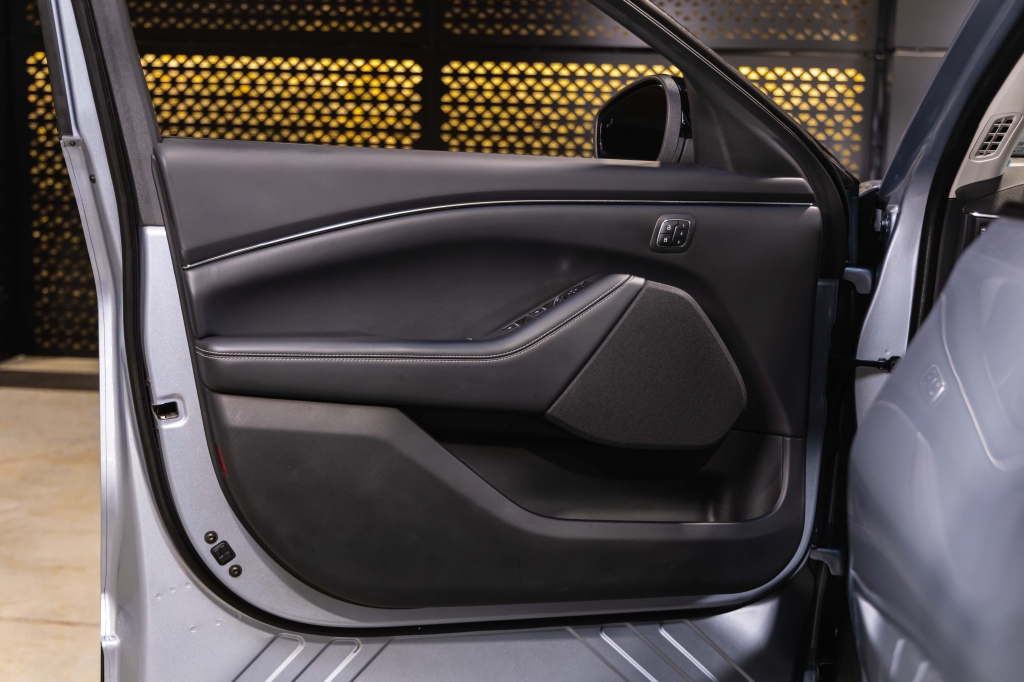 Ford Mustang Mach-E 2022 photo 17