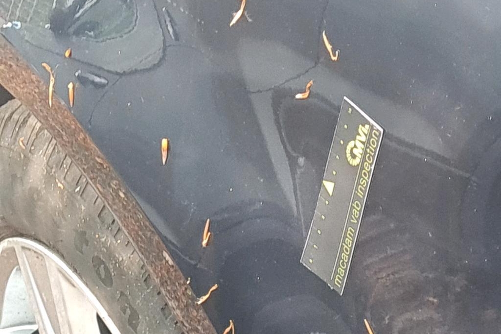 Audi A4 Avant 2017 фото 28