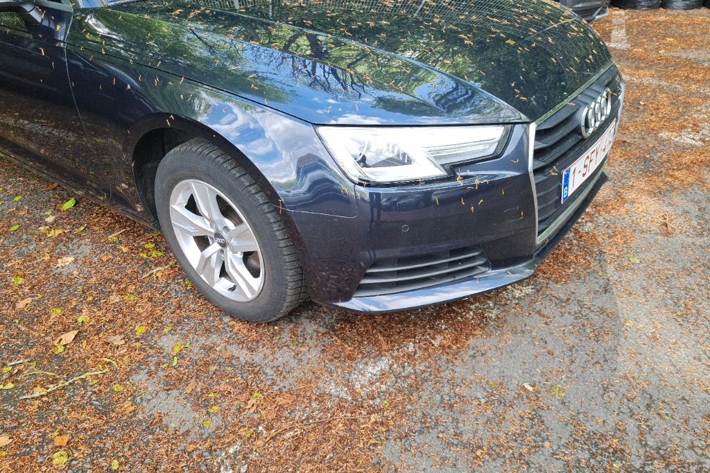 Audi A4 Avant 2017 фото 9