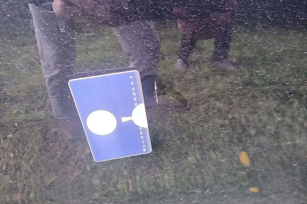 Kia Niro 2017 photo 13