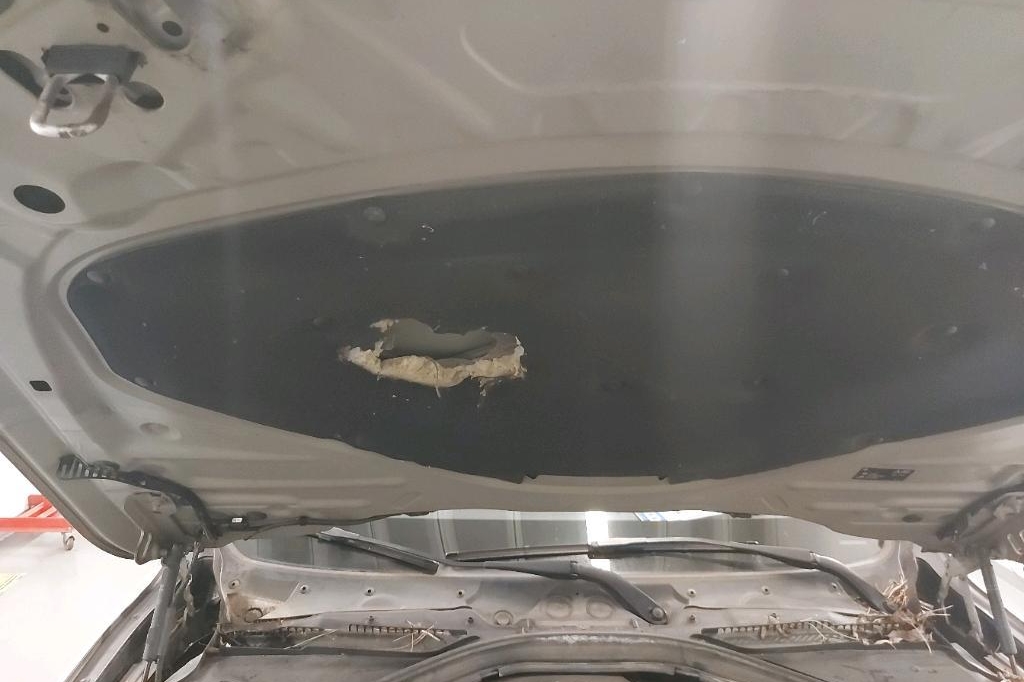 BMW 3er Touring 2016 фото 13