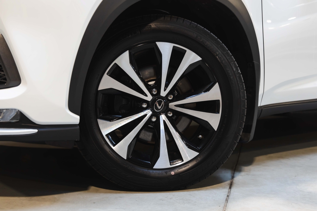 Lexus NX 300 F Sport 2018 photo 14