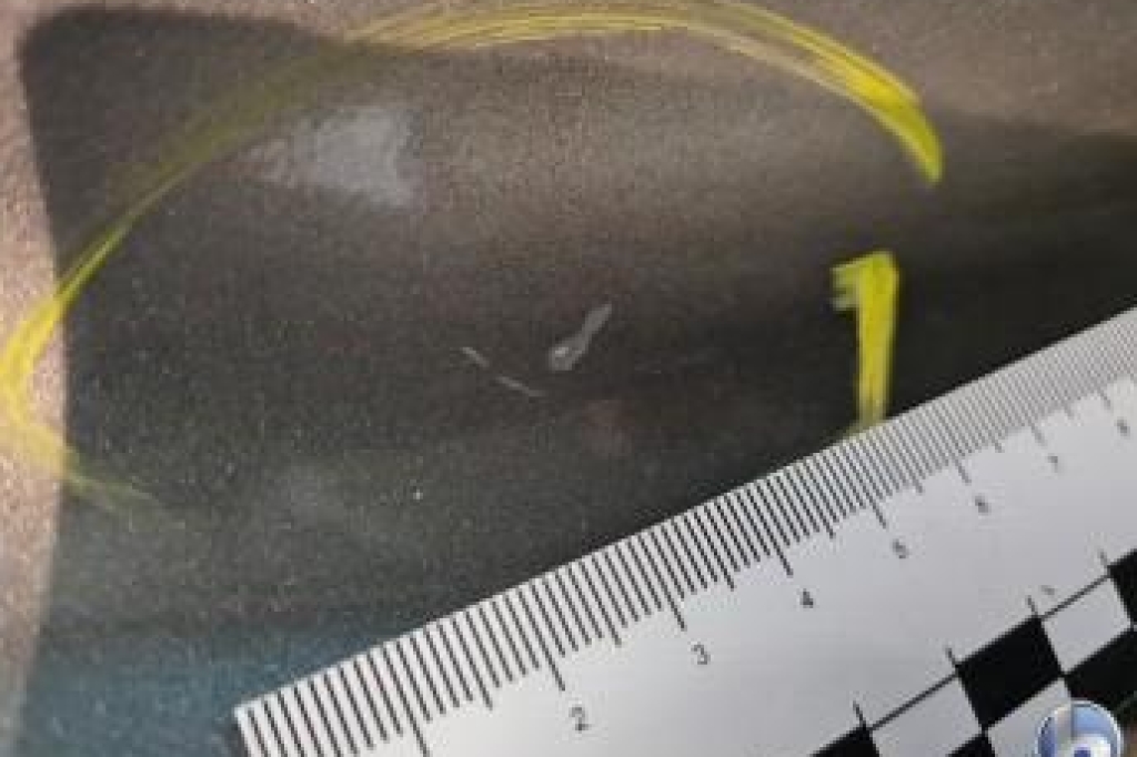 Land Rover Range Rover 2019 фото 40