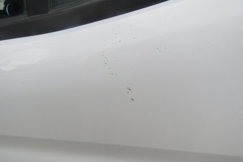 Ford Transit Pritsche 2020 фото 33