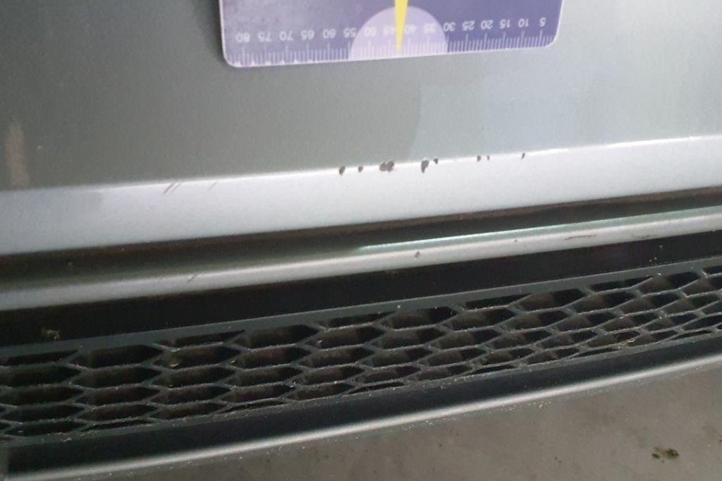 Audi A4 Avant 2015 photo 12