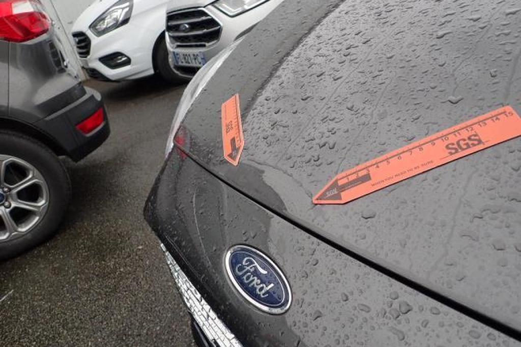 Ford Fiesta 2019 фото 10