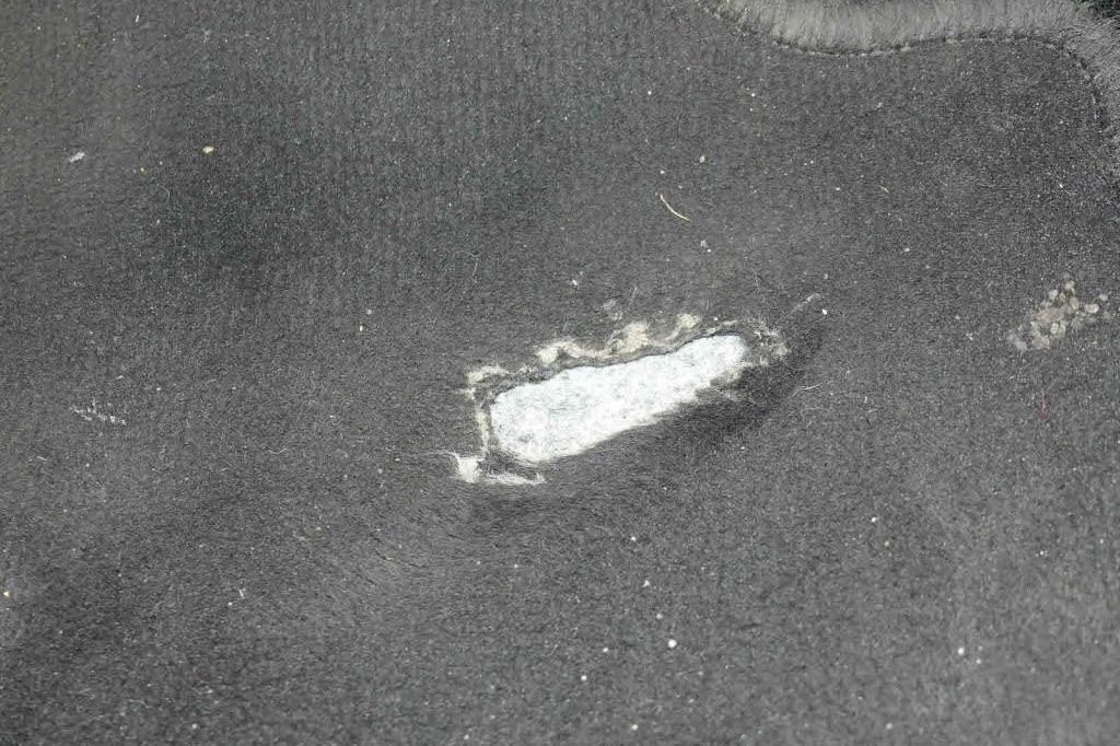 Ford Focus Turnier 2018 photo 20