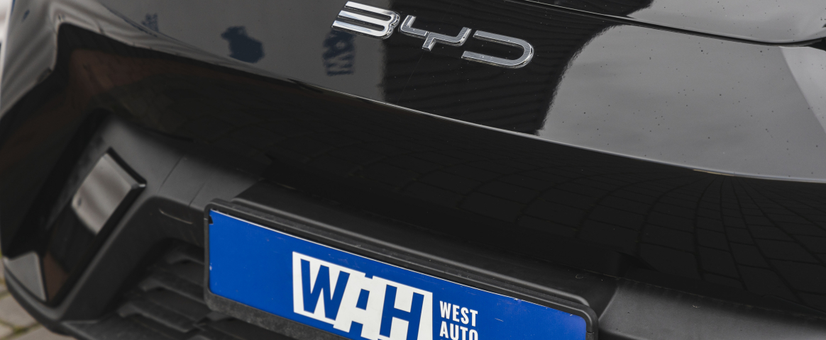 The market for new electric vehicles in Ukraine: results for June 2025