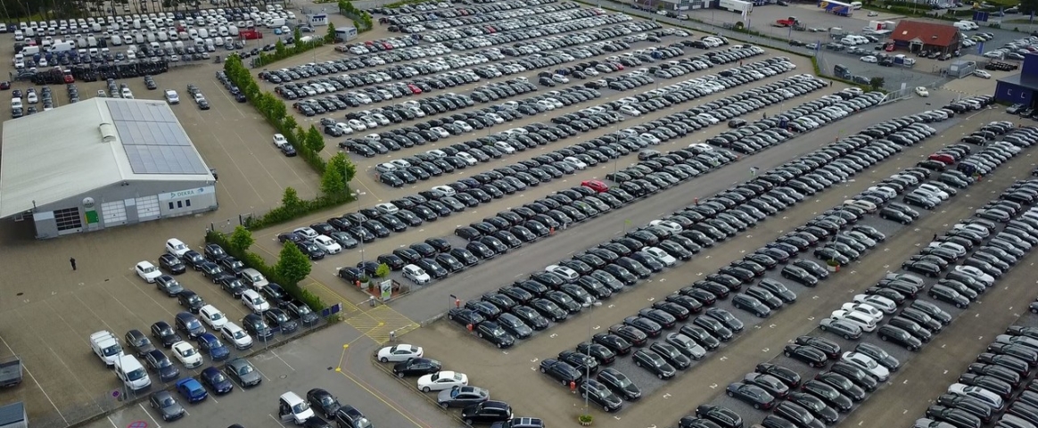 Where do European dealers buy and how do they sell used cars? Research