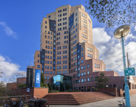 Амстердам - Нідерланди