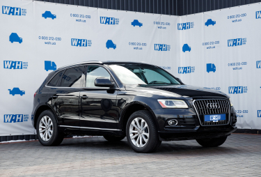 Audi Q5 2013 фото 1