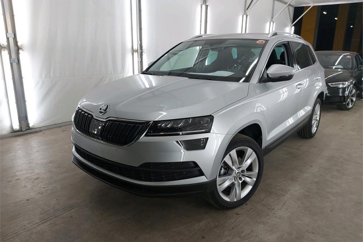 Skoda Karoq 2019 photo