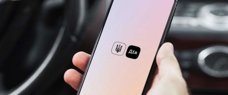 Customs clearance of cars through Diya: what will change?