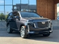 Cadillac Escalade PLATINUM 4WD 2022 фото
