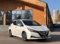 Nissan Leaf SL 40kWh 2019 фото