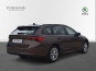 Skoda Octavia Combi 2020 фото 2