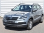 Skoda Karoq 2020 photo
