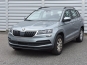 Skoda Karoq 2020 photo