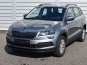 Skoda Karoq 2021 photo