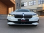 BMW 530 XDrive D 2020 фото 17